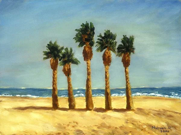 Palms, Sand & Sea