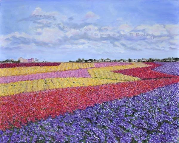 Flower Fields, Carlsbad 3