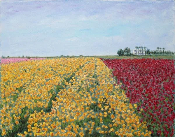 Flower Fields, Carlsbad